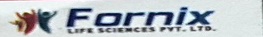 Fornix