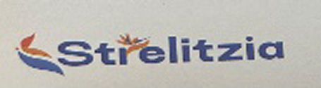 Strelitzia